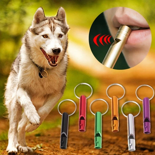 2PCS Outdoor Training Whistle Dogs Repeller Pet Training Random Color Whistle Anti Bark Dogs Training Flute Pet Supplies